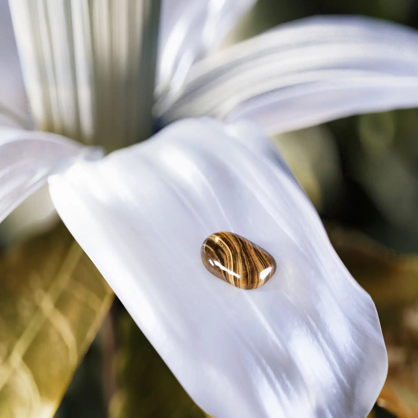 Bvlgari Le Gemme Tygar Eau De Parfum