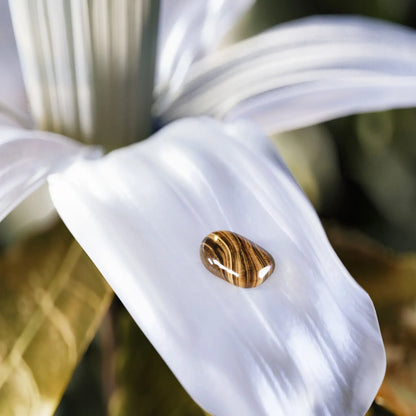 Bvlgari Le Gemme Tygar Eau De Parfum