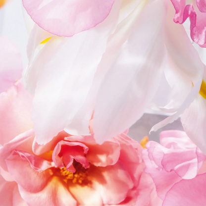 Dior Miss Dior Eau De Parfum