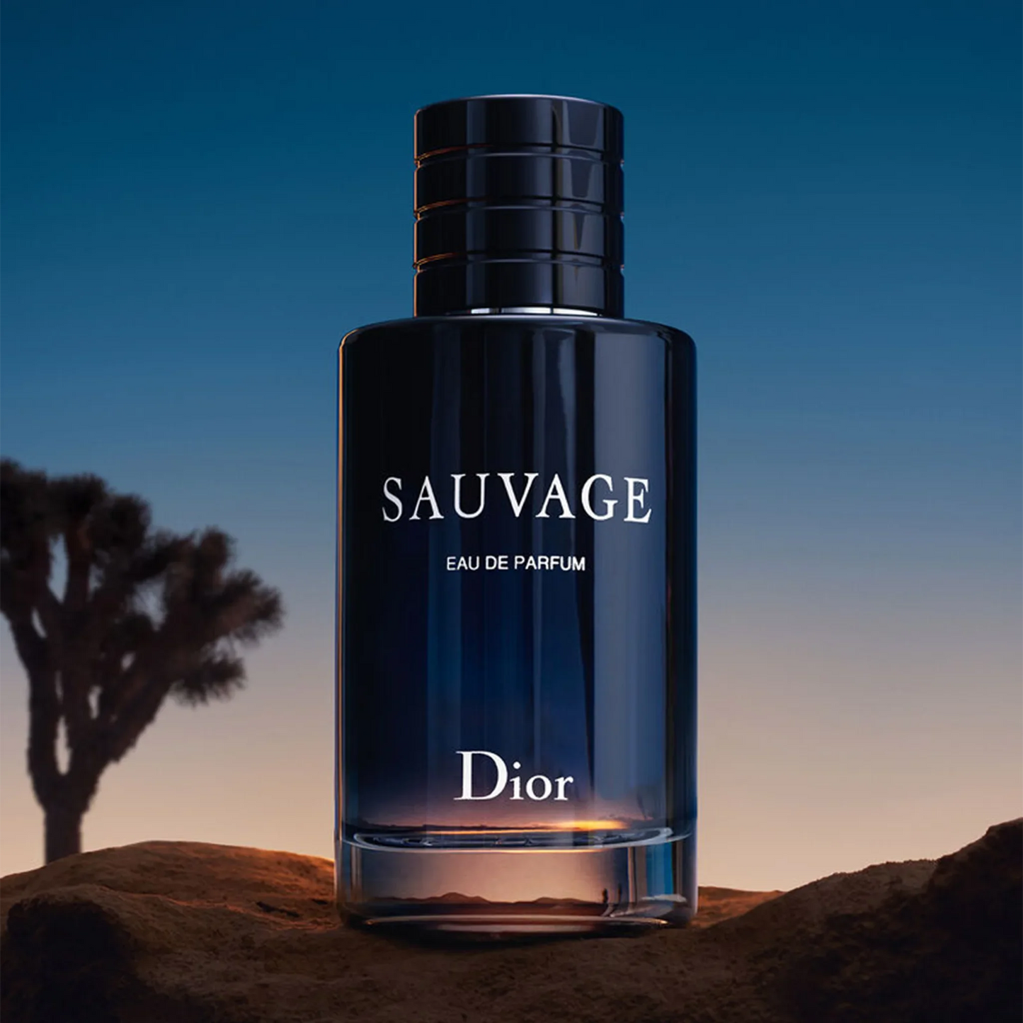 Dior Sauvage Eau De Parfum