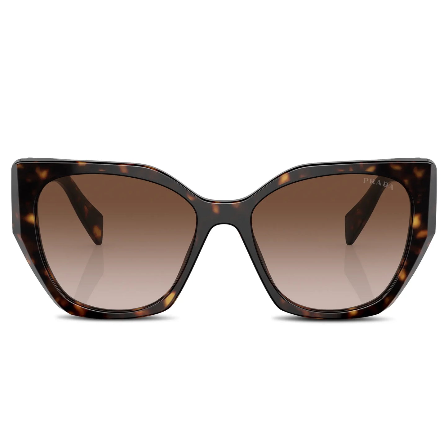 Prada PR 19ZS 2AU6S1 Tortoise Sunglasses