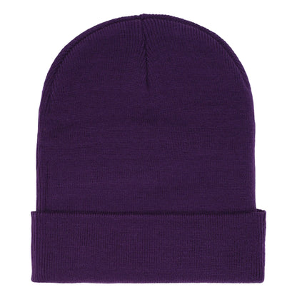 Sp5der Web Purple Beanie