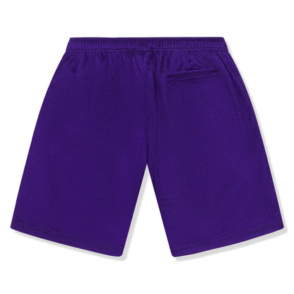 Supreme Small Box Baggy Mesh Purple Shorts (SS25)