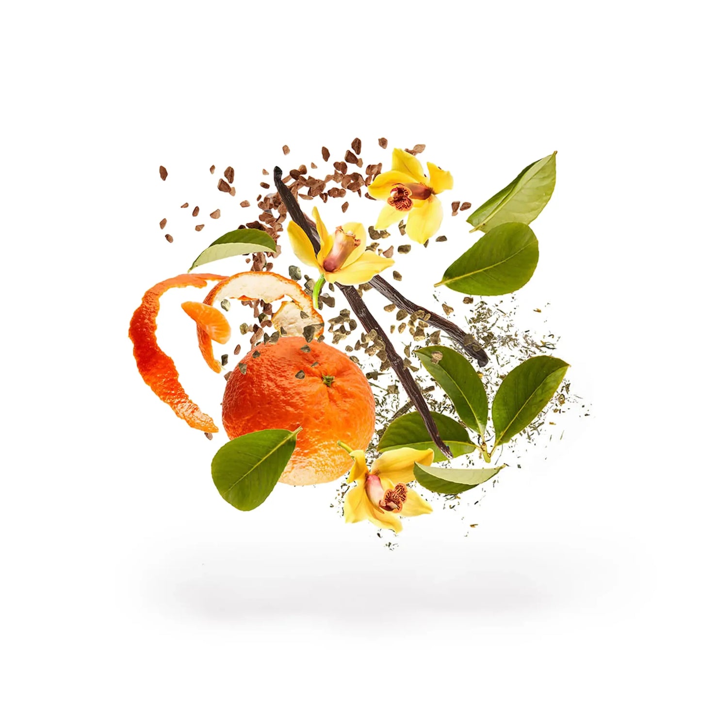 Xerjoff 1861 Decas Eau De Parfum