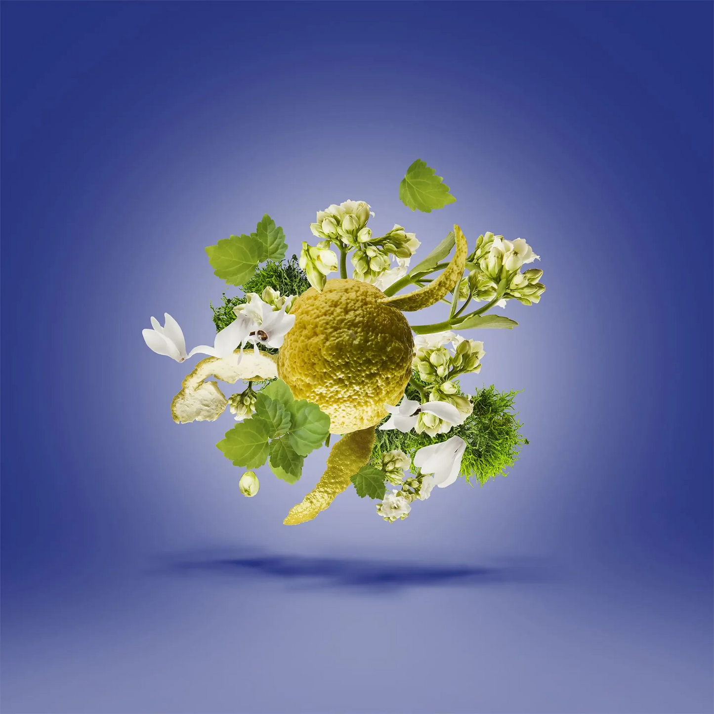 Xerjoff ATP Torino23 Eau De Parfum