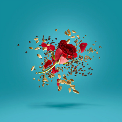 Xerjoff x Max Casacci Groove Xcape Eau De Parfum